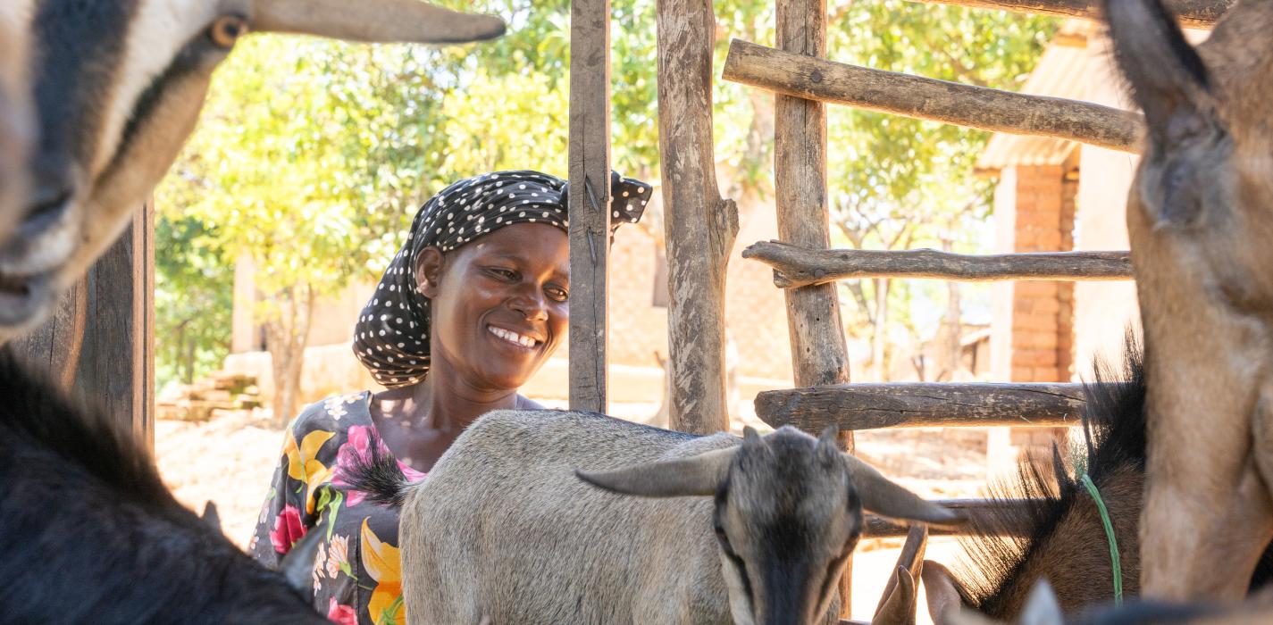 Animal Husbandry; beneficiary of goat Seed Program